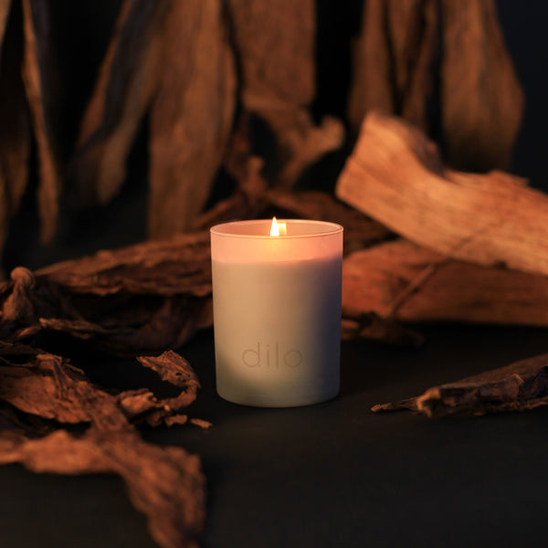 Amazon.com: 3x6 Inch Turquoise Pillar Candles Set of 3